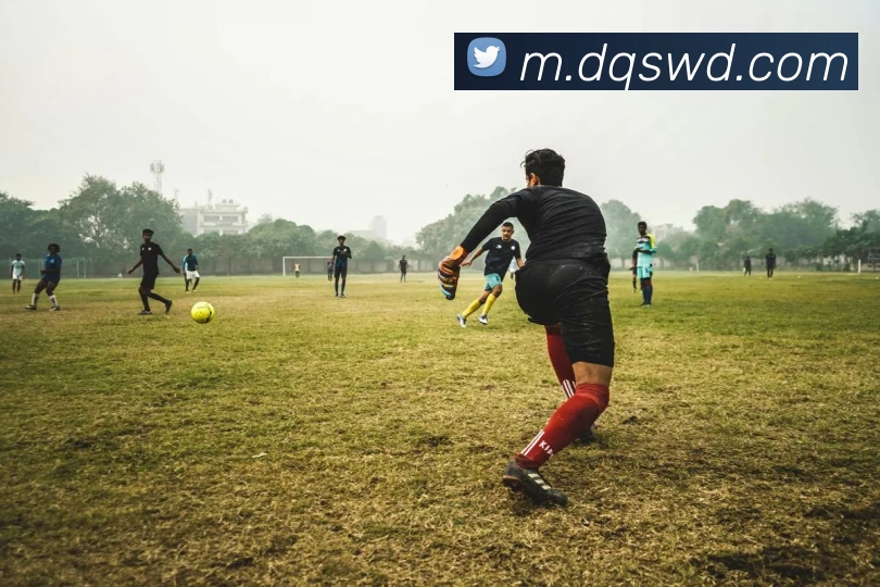 App Interface Preview