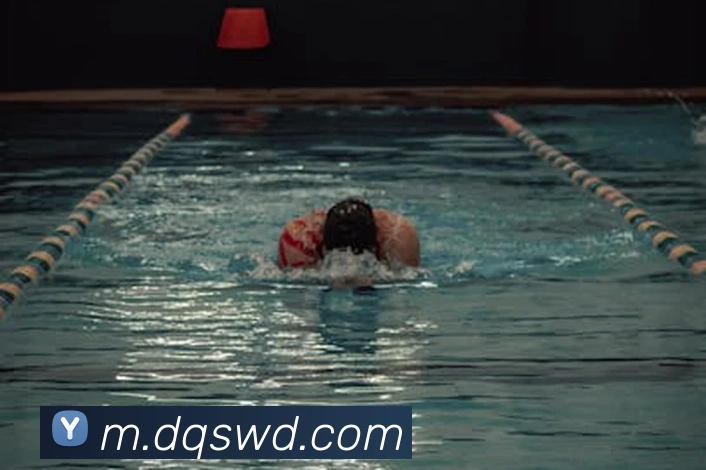 问鼎28APP 封面图